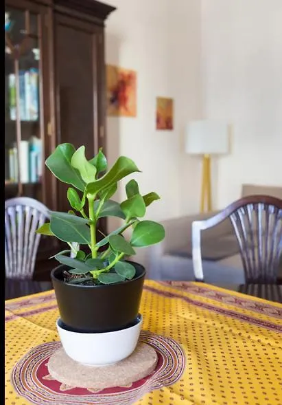 My Stay Apartments Βιέννη